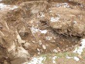 PC151310.jpg