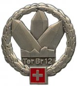 4070462101-swiss_beret_badge.jpg