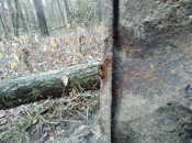 IMG_20191223_113050.jpg