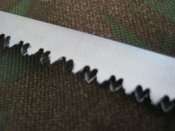 11.JPG
