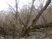 IMG_20191225_141859.jpg