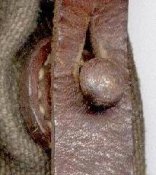 SHpenek.jpg