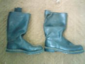 DSC01232.jpg