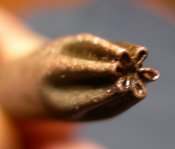 DSCN2328.JPG