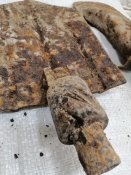 лопатки