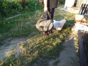 Баул Бундес    Washesack oliv 50l