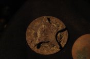 DSC00522.jpg