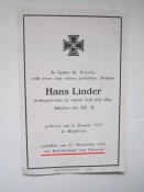 po1.jpg