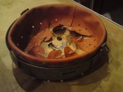 DSC03969.JPG