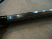DSC02384.JPG