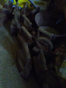 IMG_20191229_150039.jpg