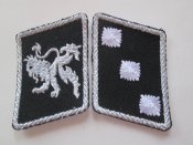 петлицы