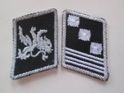 Петлицы Гауптштурмфрера СС,
