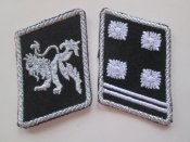 петлицы
