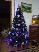 IMG_20191230_174517.jpg