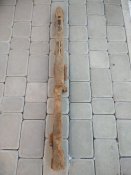81652860_856265688166153_322527326392811520_n (1).jpg