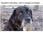 спокойно.jpg