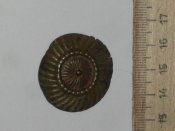 SDC10013.jpg