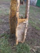 IMG_2550.JPG