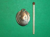 P1010056 (Копировать).JPG