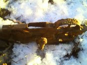 IMG0467A.jpg