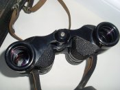 SL371645.JPG