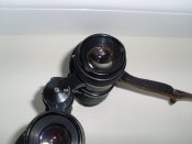 SL371651.JPG