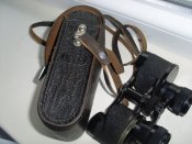 SL371652.JPG