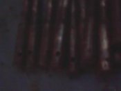 IMG10251.jpg