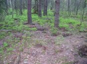 Крестодром. 010.jpg