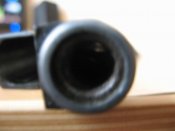Сивил (6)_thumb.jpg
