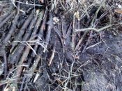 IMG_20200104_140813.jpg