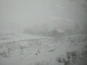 IMG_20200105_123111.jpg