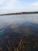 IMG_20191231_100847.jpg