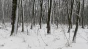 IMG_20200105_104506.jpg