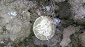 IMG_20200105_120803.jpg