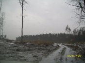 101_6281.JPG