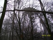 101_6293.JPG