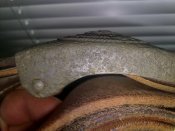 20122012624.jpg