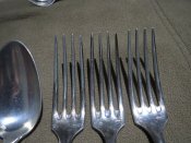 IMG_7374.JPG