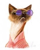 gato2.jpg