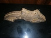 IMG_20200108_133241.jpg