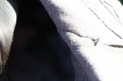 IMG_2682.JPG