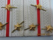 Погоны парадные