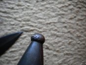 DSCN5530.JPG