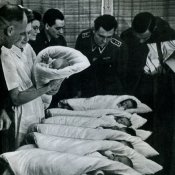 SS-L.Munchen...jpg