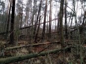 IMG_20200110_104141.jpg