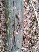 IMG_20200110_133304.jpg