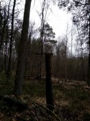 IMG_20200111_114036.jpg