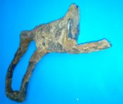 IMG_20200111_160352.jpg